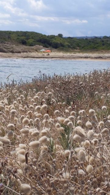 As the summer quiets down, the call of the sea gets louder.
.
.
.
#puglia #lifeinpuglia #lifebythesea #italiansummer #estateitaliana #weareinpuglia #beachdays #instabeach #estatealmare